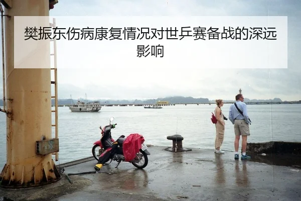 樊振东伤病康复情况对世乒赛备战的深远影响